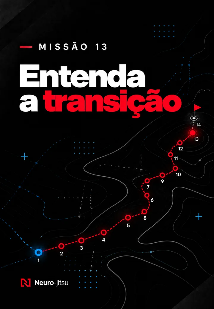 Capa da missão 13